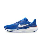 Florida Nike Zoom Pegasus 41 Shoes